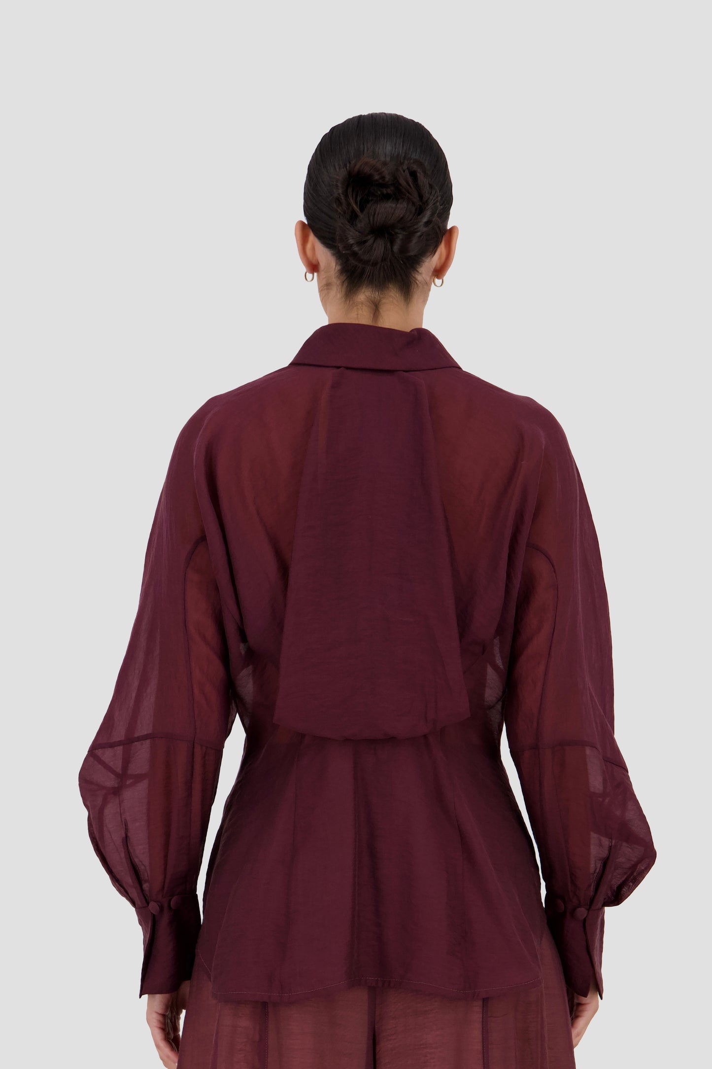 Engineered Back Volume Sheer Shirt